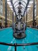 PICTURES/Hayes Galleria/t_Hay's Galaria - The Navigator5.jpg